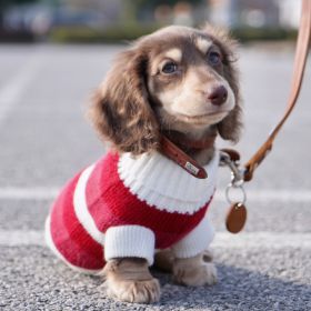 Sausage Dog Clothes Small Dog Cat Warm Thickened Sweater (Option: Red And White Striped Sweater-2XL)