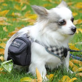 Pet Dog treat pouch Portable Multifunction Dog training bag Outdoor Travel Dog Poop Bag Dispenser Durable Pet accessories (Color: Pink)